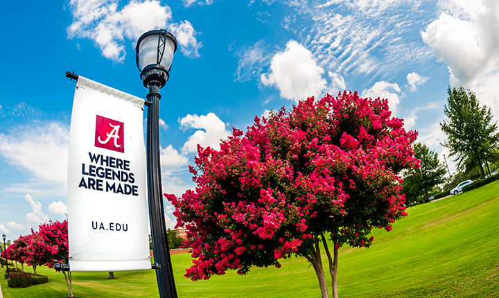 UA Where Legends are Made banner next to flowering tree