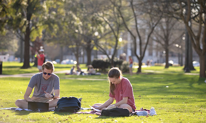 Students studying on the Quad